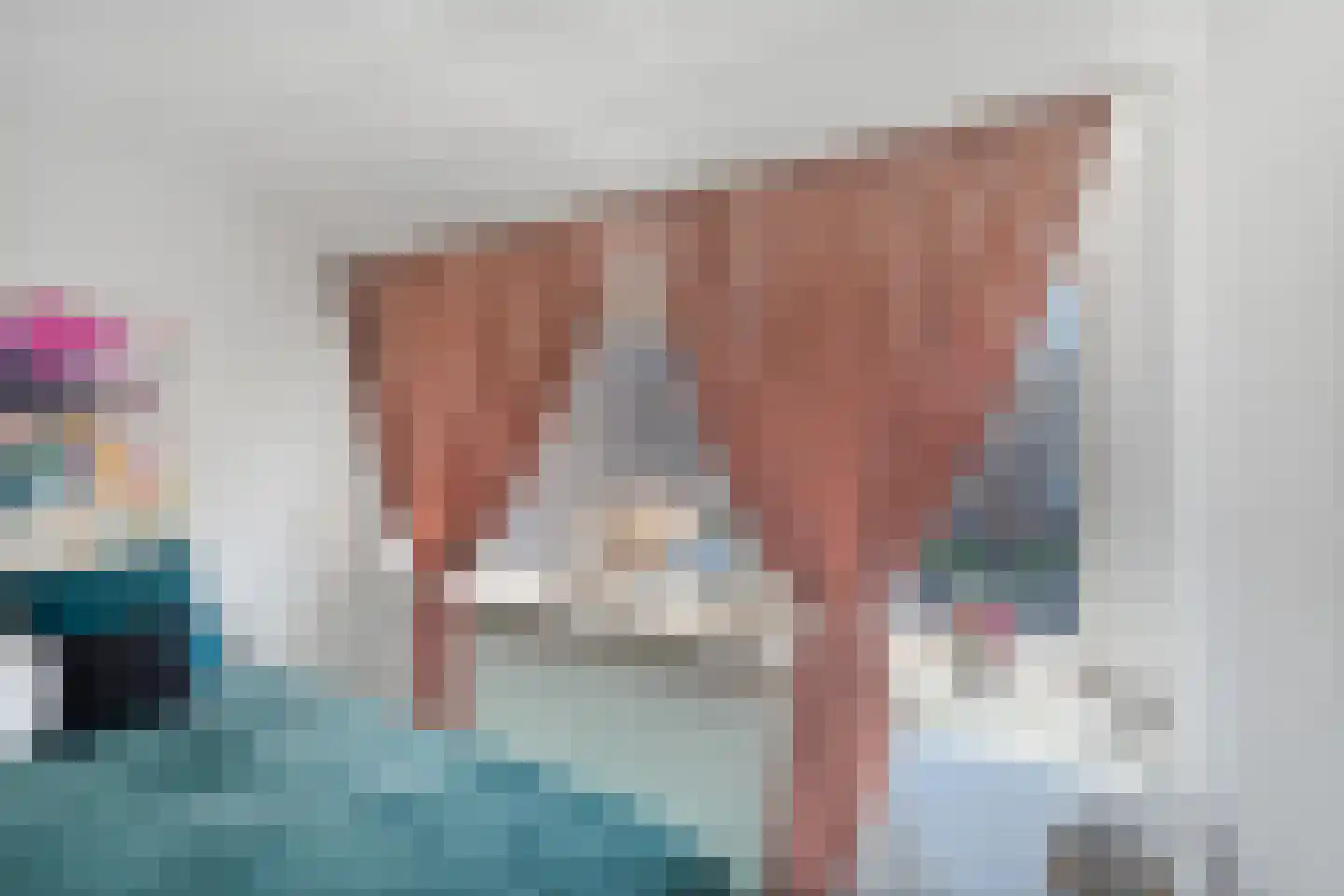 Singravenlaan 7 Arnhem thumbnail 26