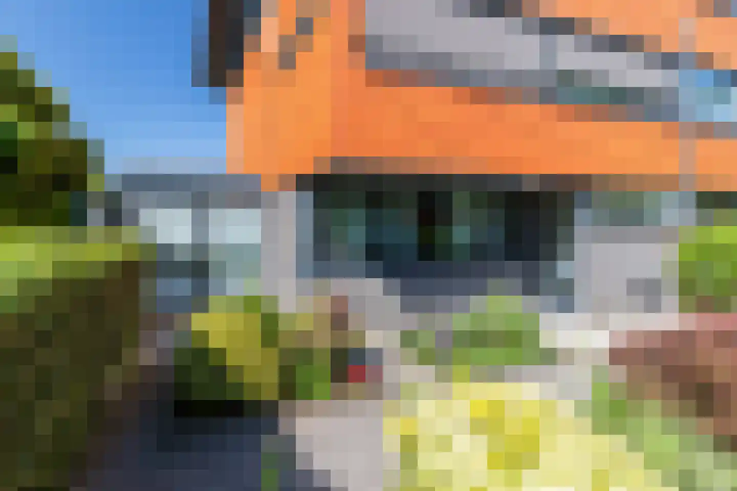 Singravenstraat 17 Den Haag thumbnail 5