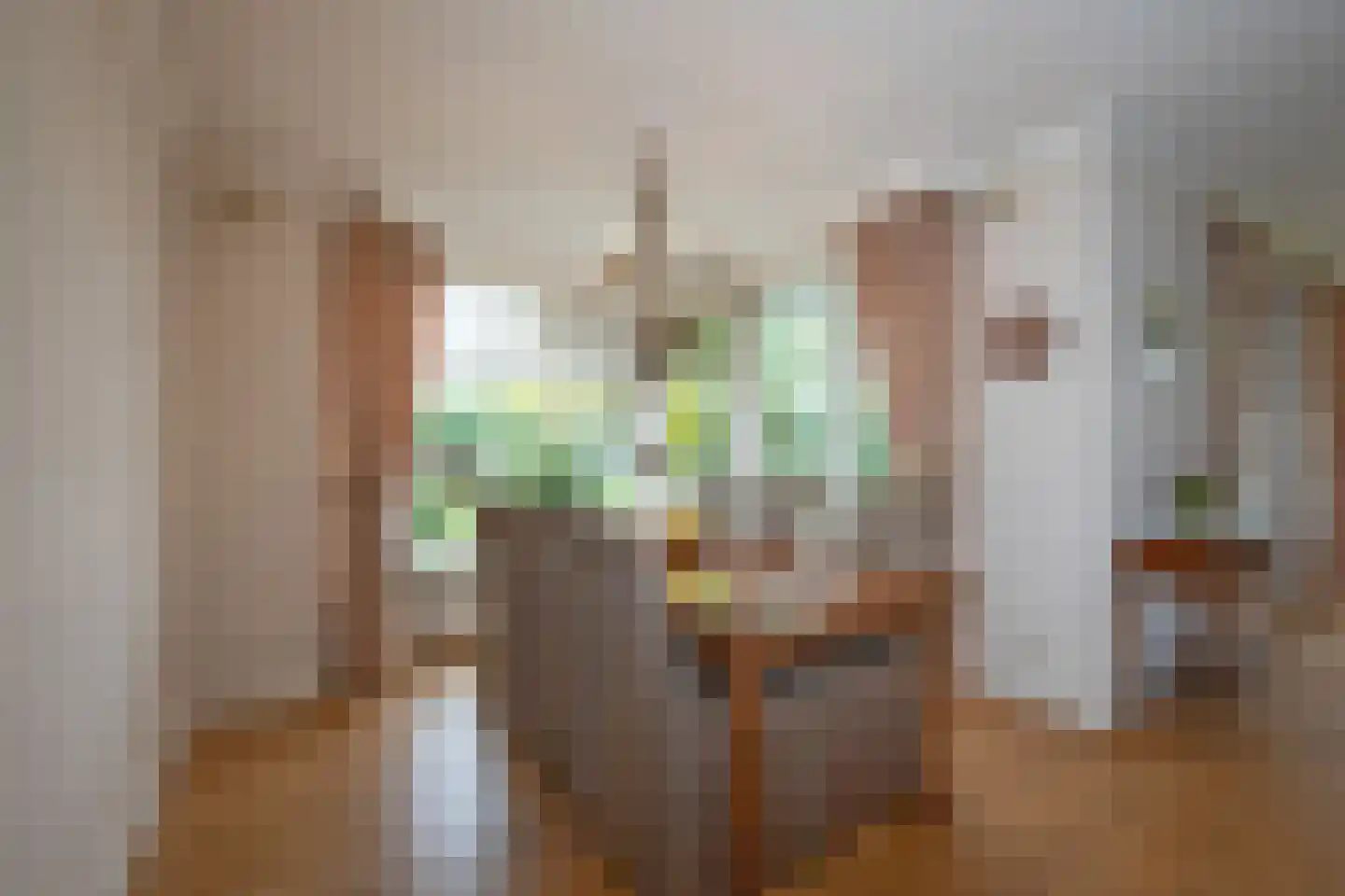 Singravenstraat 4 Tubbergen thumbnail 10