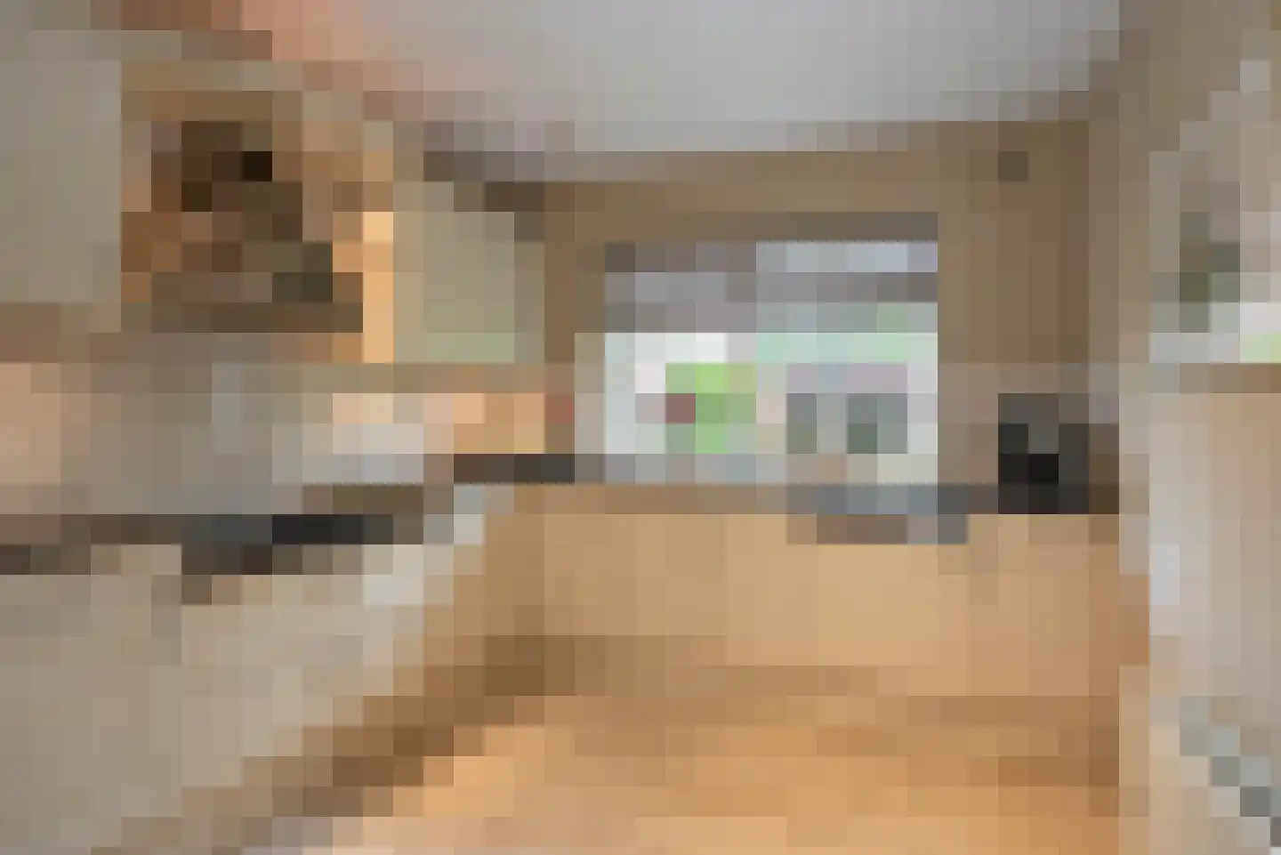 Singravenstraat 4 Tubbergen thumbnail 11