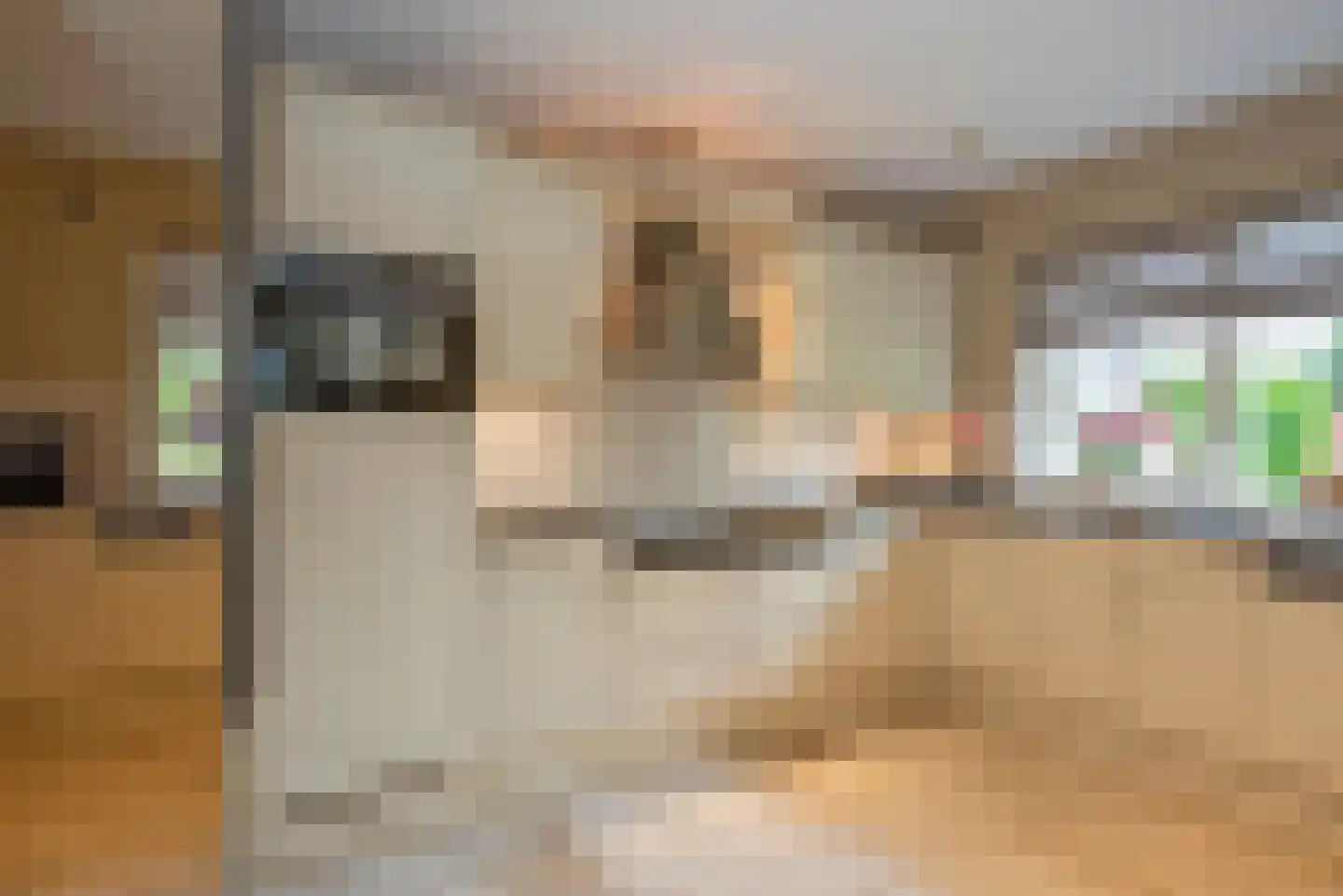 Singravenstraat 4 Tubbergen thumbnail 12