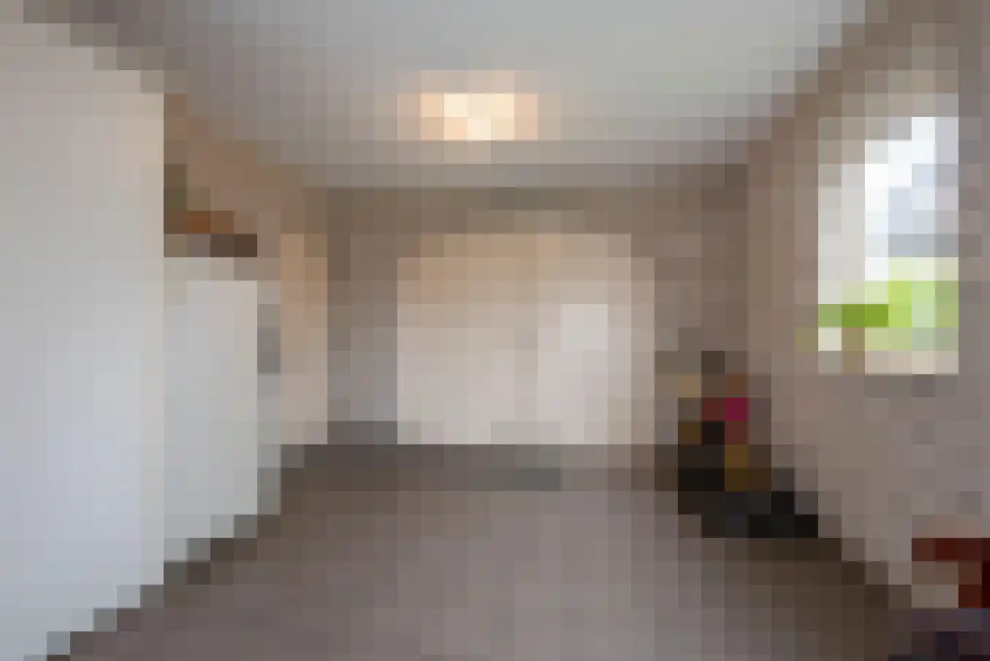 Singravenstraat 4 Tubbergen thumbnail 16