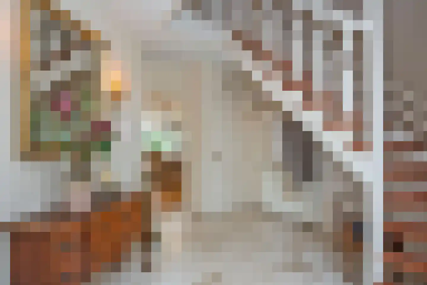 Singravenstraat 4 Tubbergen thumbnail 17