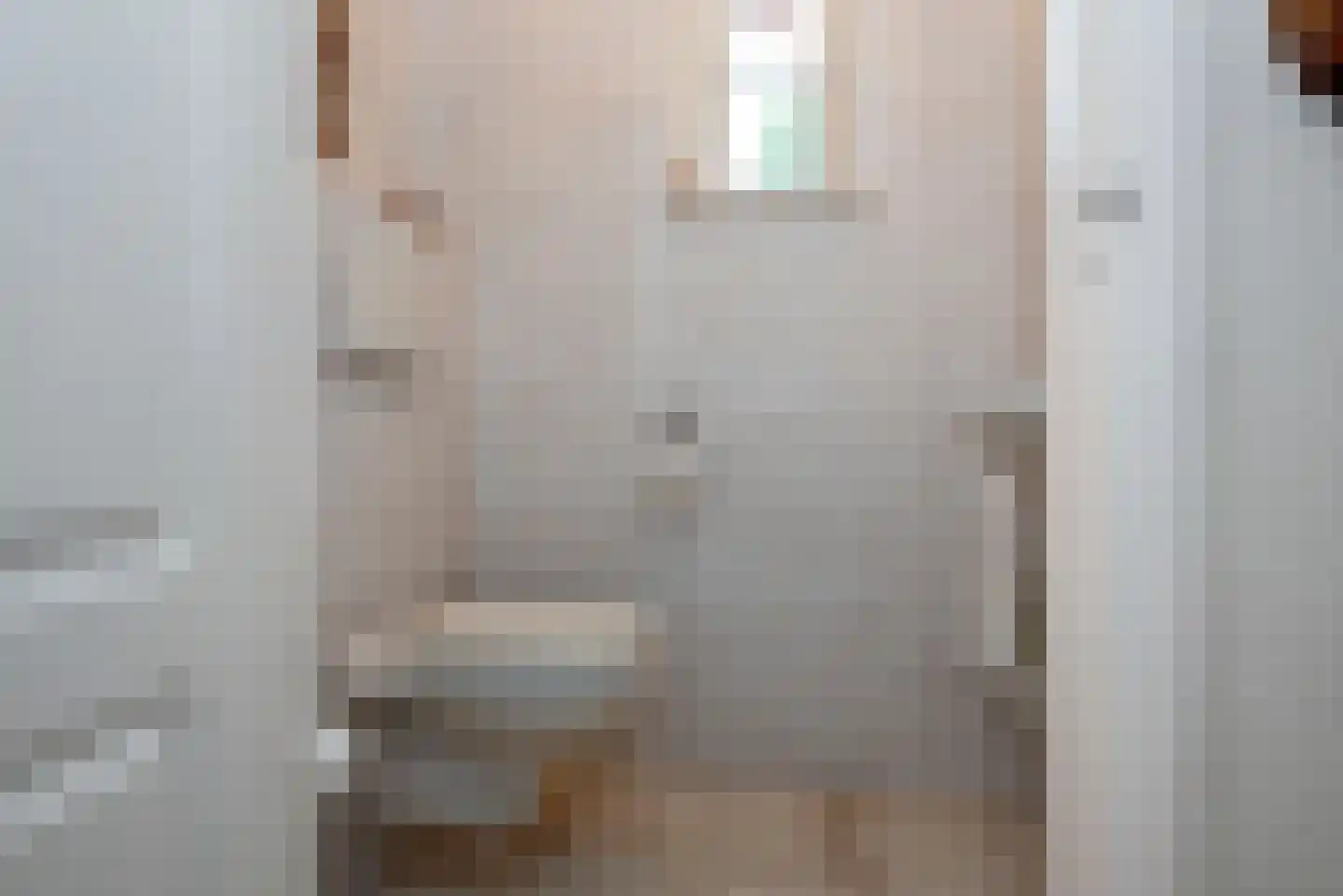 Singravenstraat 4 Tubbergen thumbnail 18