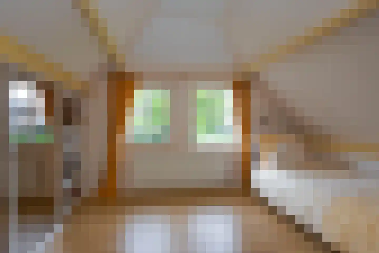 Singravenstraat 4 Tubbergen thumbnail 21