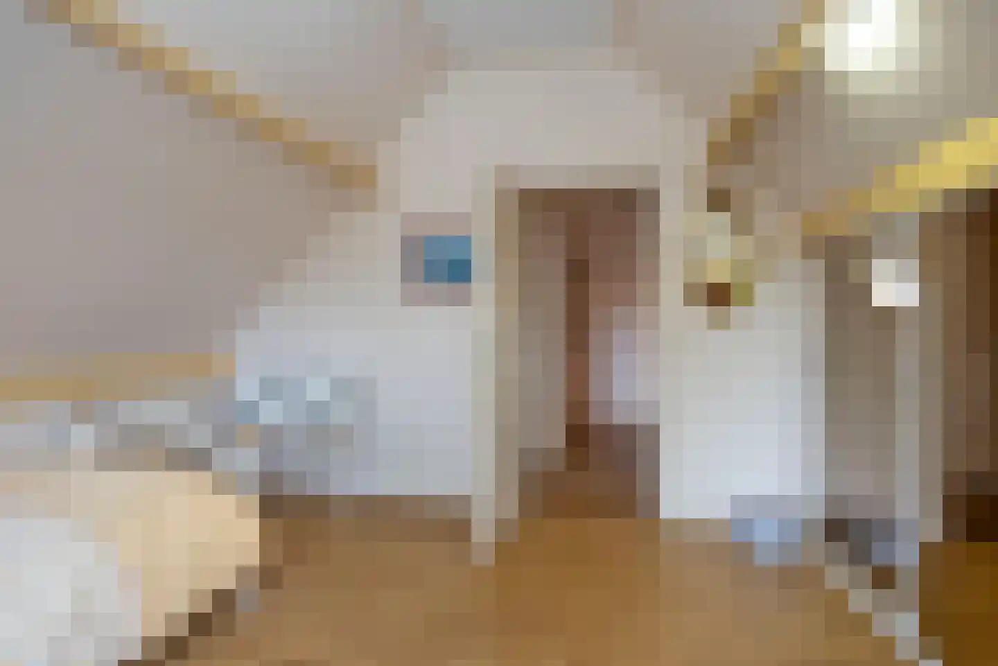 Singravenstraat 4 Tubbergen thumbnail 22
