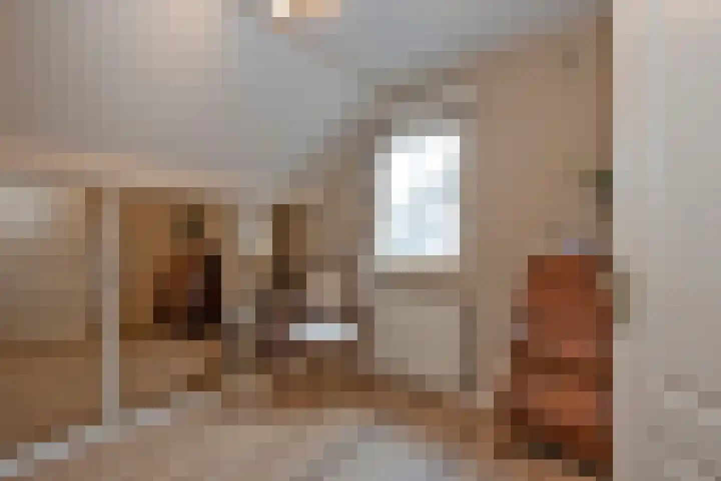 Singravenstraat 4 Tubbergen thumbnail 23