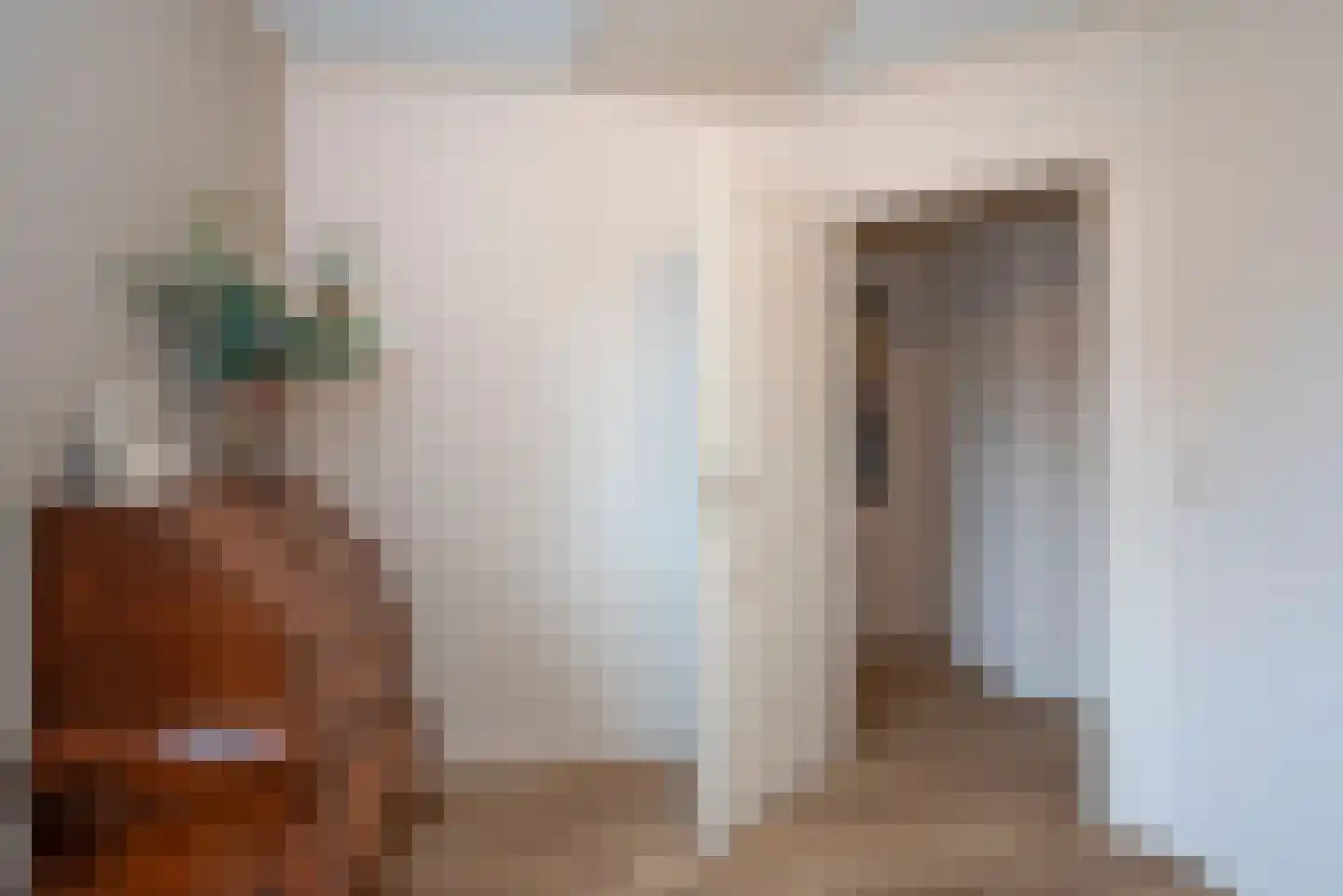 Singravenstraat 4 Tubbergen thumbnail 24