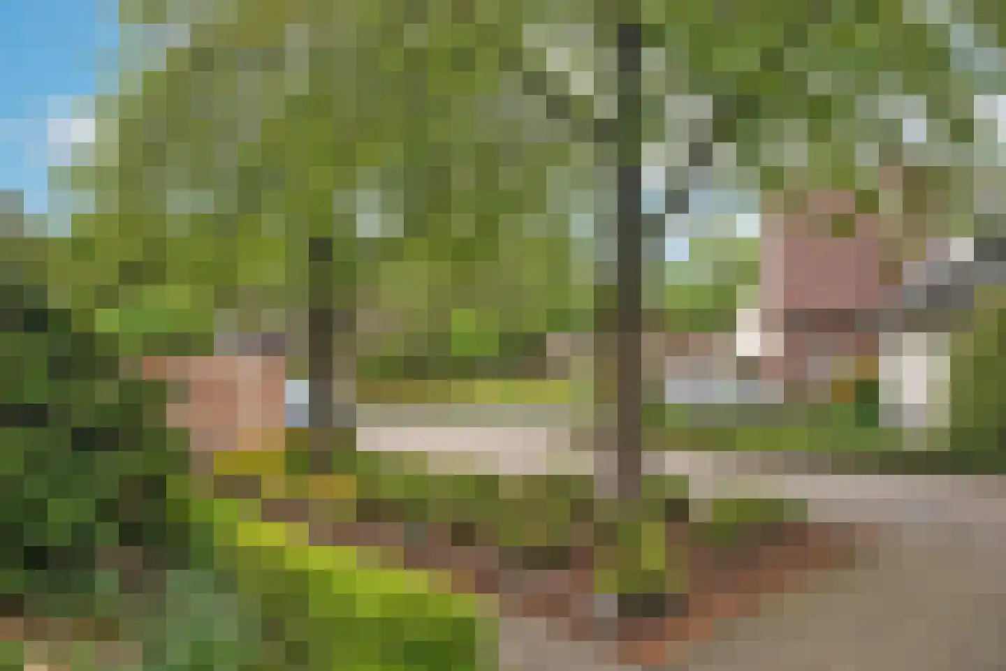 Singravenstraat 4 Tubbergen thumbnail 37