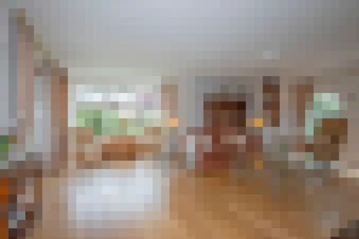 Singravenstraat 4 Tubbergen thumbnail 6
