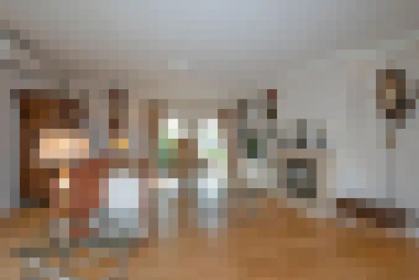 Singravenstraat 4 Tubbergen thumbnail 9