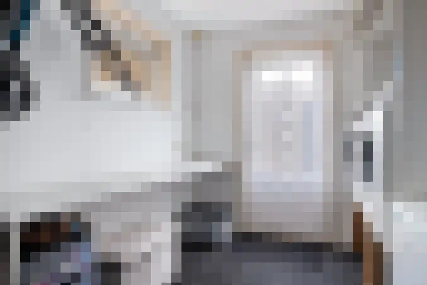Sinia 6 Grou thumbnail 10