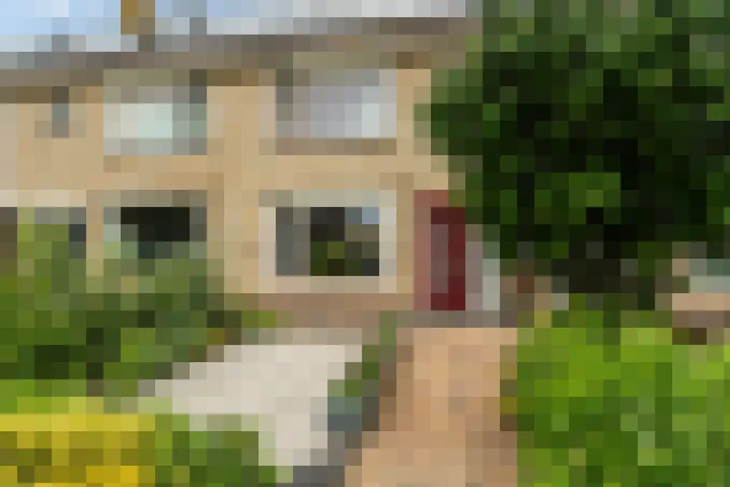 Sinia 6 Grou foto 2