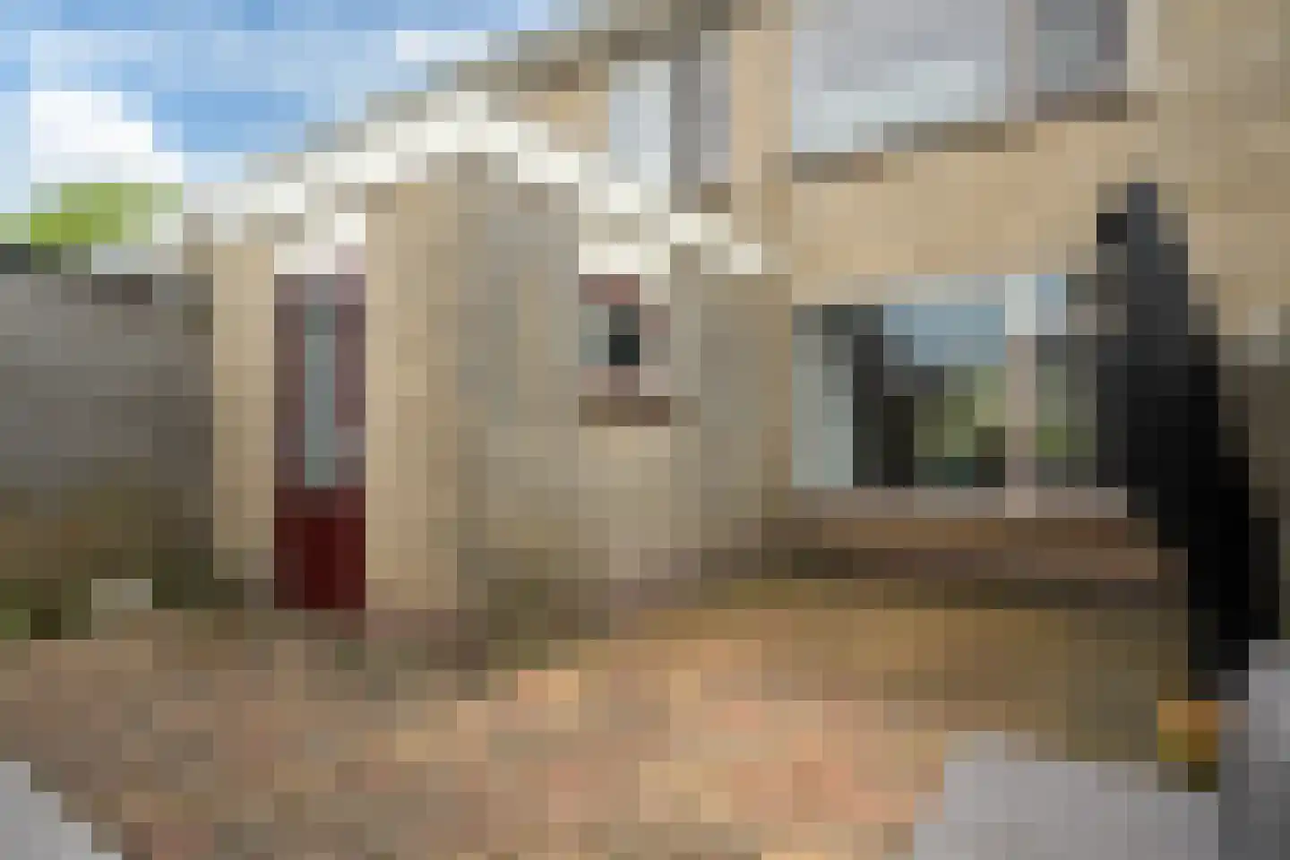Sinia 6 Grou thumbnail 27