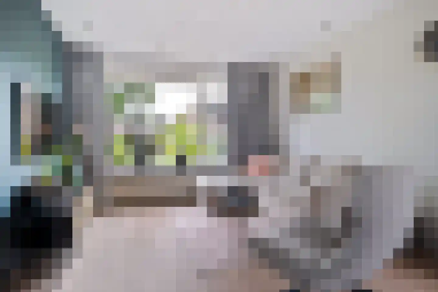 Sinia 6 Grou foto 3