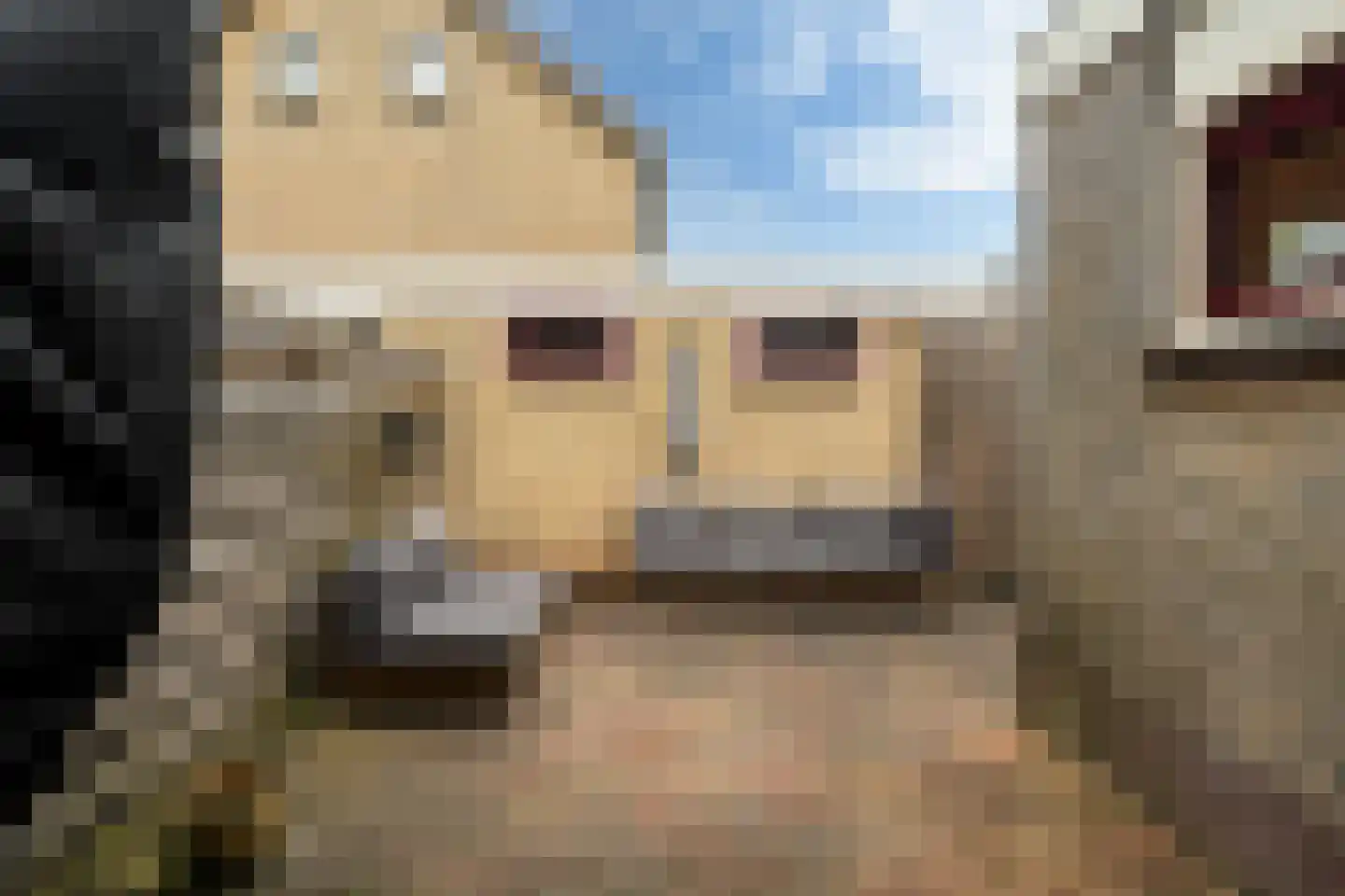 Sinia 6 Grou thumbnail 30