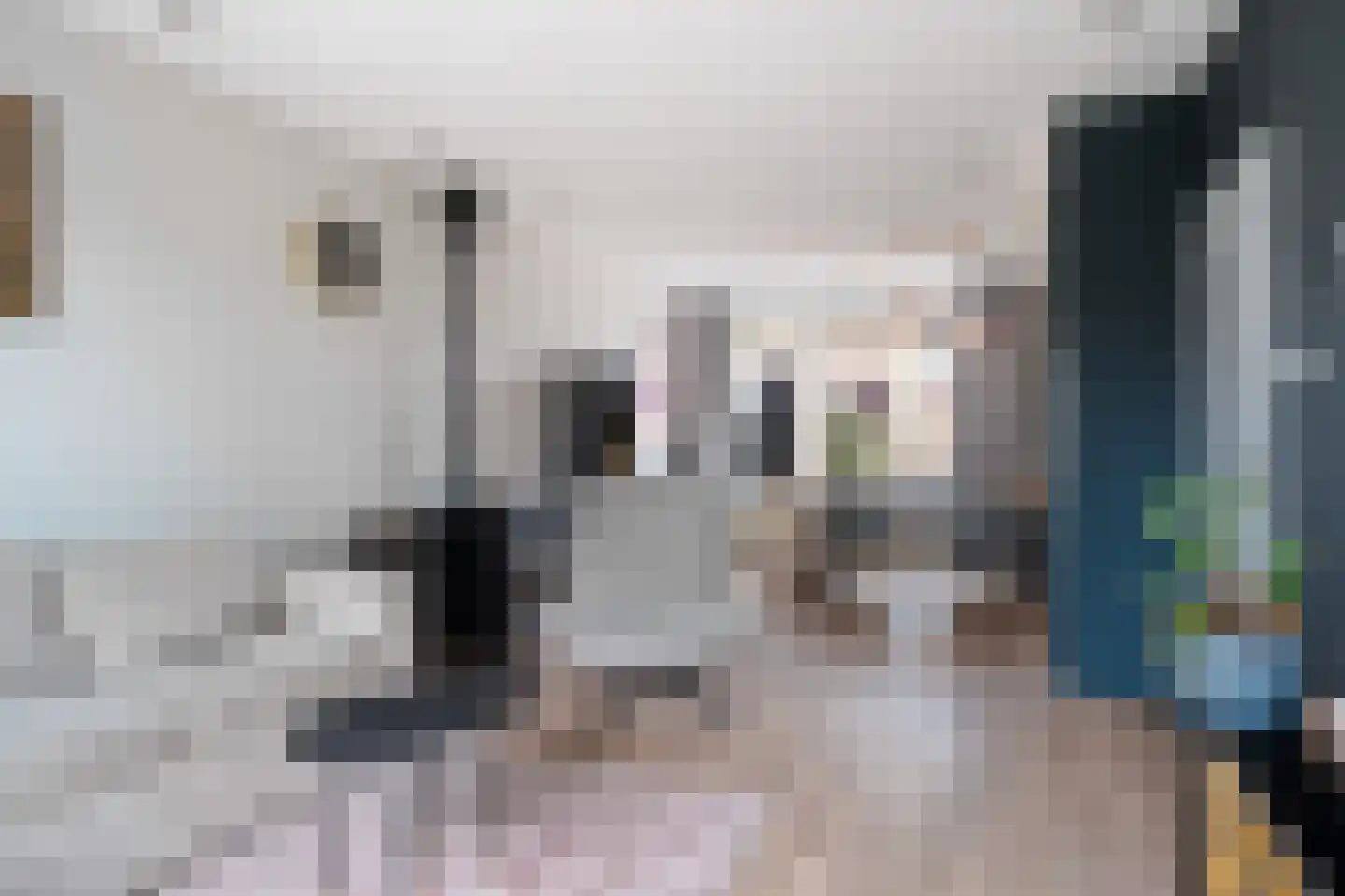 Sinia 6 Grou thumbnail 4