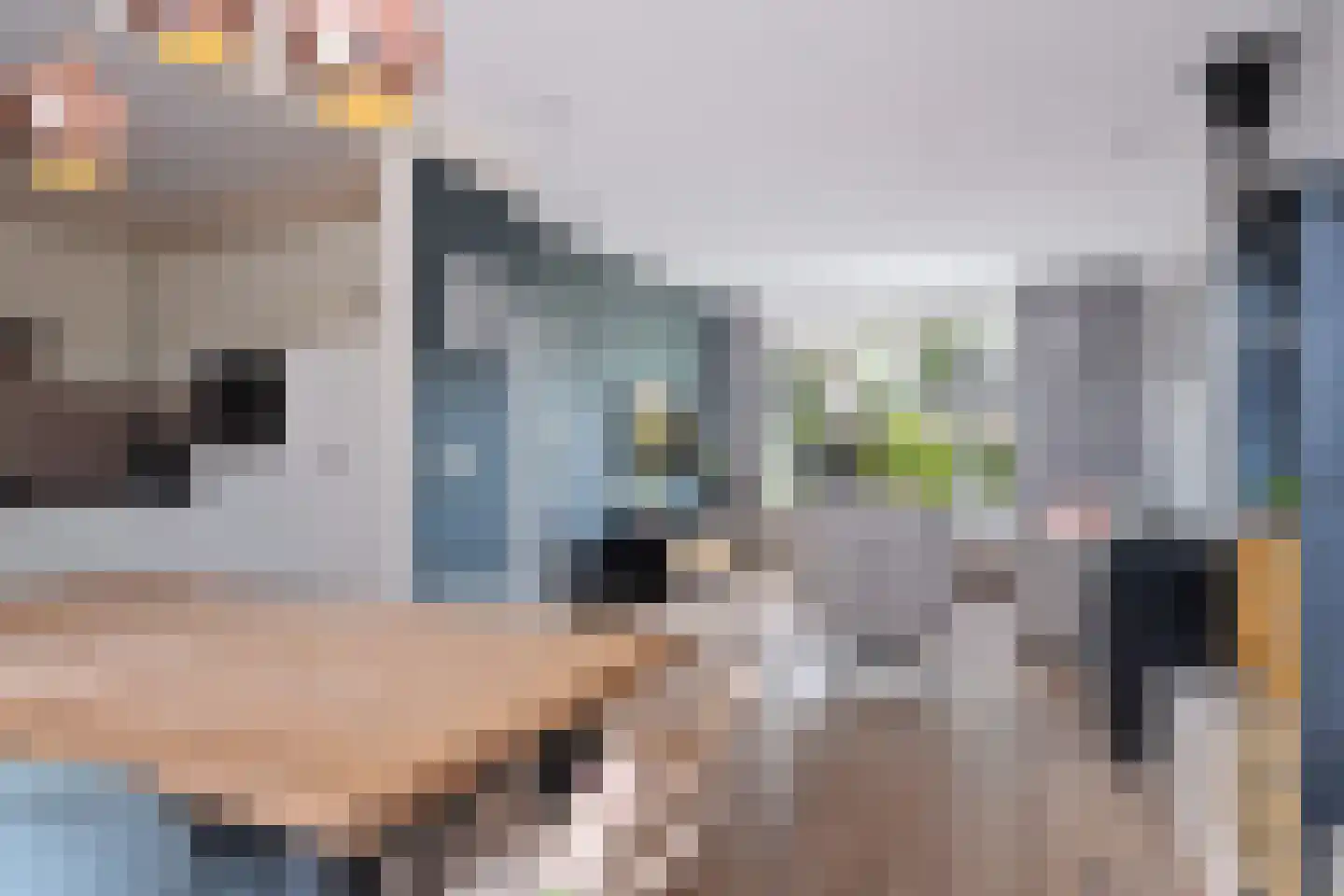 Sinia 6 Grou thumbnail 6