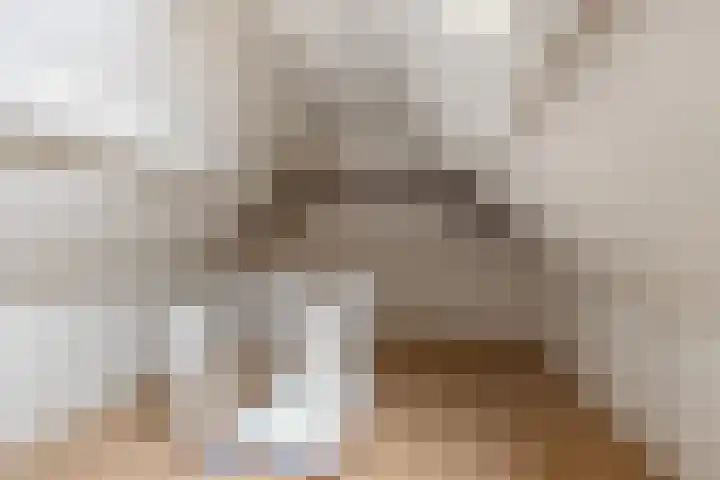 Siniastrjitte 5 Ljussens thumbnail 15