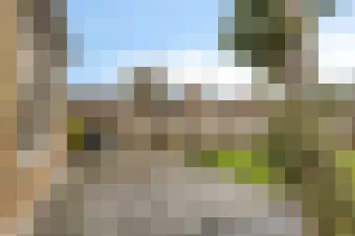 Siniastrjitte 5 Ljussens thumbnail 4