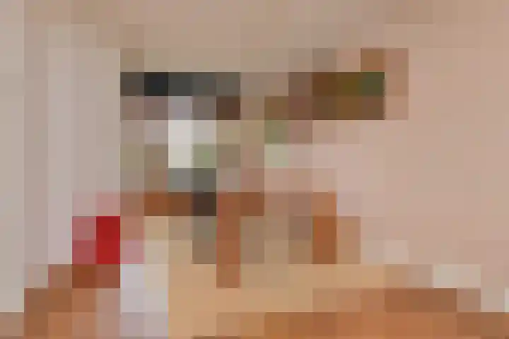 Sinjeur Semeynsweg 17 Den Haag thumbnail 12