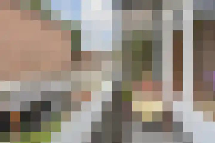 Sinjeur Semeynsweg 17 Den Haag thumbnail 15