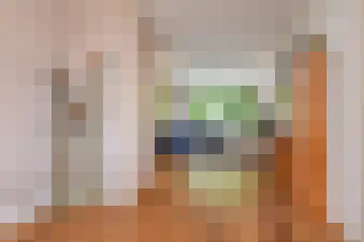 Sinjeur Semeynsweg 17 Den Haag thumbnail 17