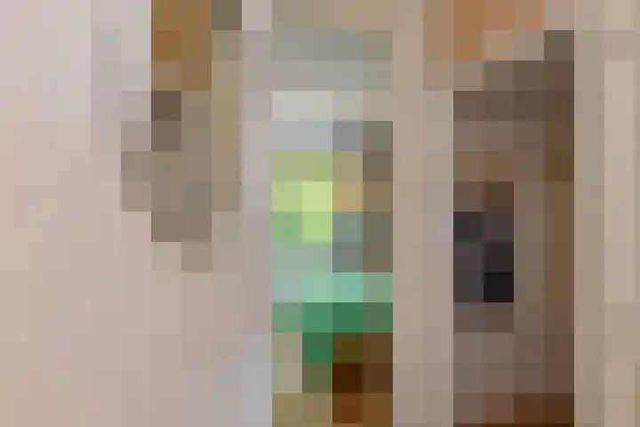 Sinjeur Semeynsweg 17 Den Haag thumbnail 19