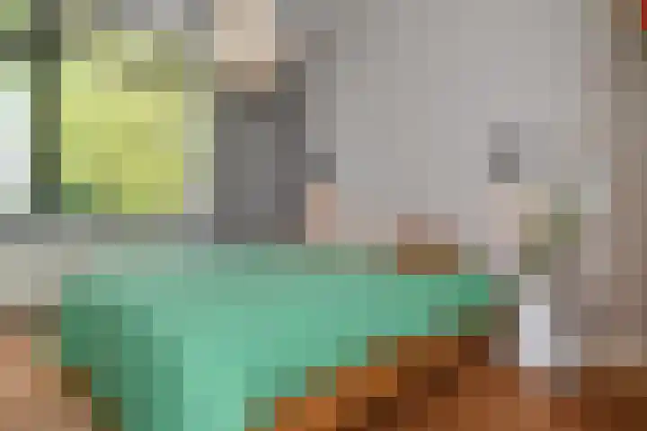 Sinjeur Semeynsweg 17 Den Haag thumbnail 21
