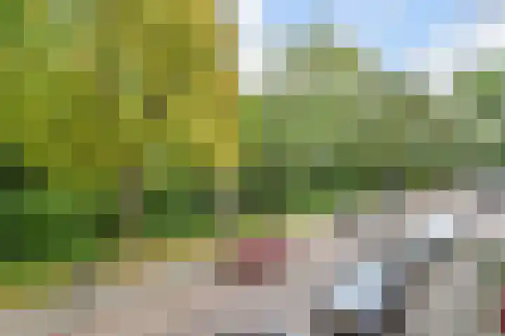 Sinjeur Semeynsweg 17 Den Haag thumbnail 31