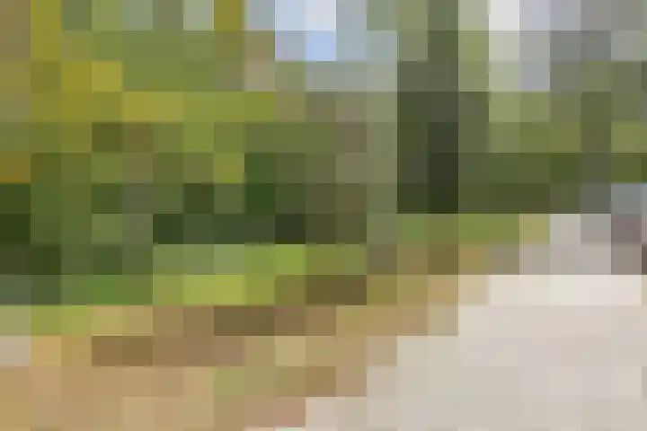Sinjeur Semeynsweg 17 Den Haag thumbnail 33