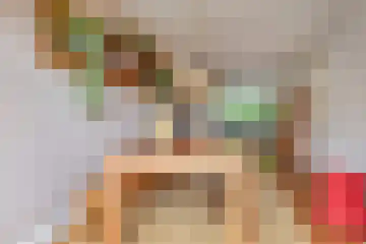 Sinjeur Semeynsweg 17 Den Haag thumbnail 4
