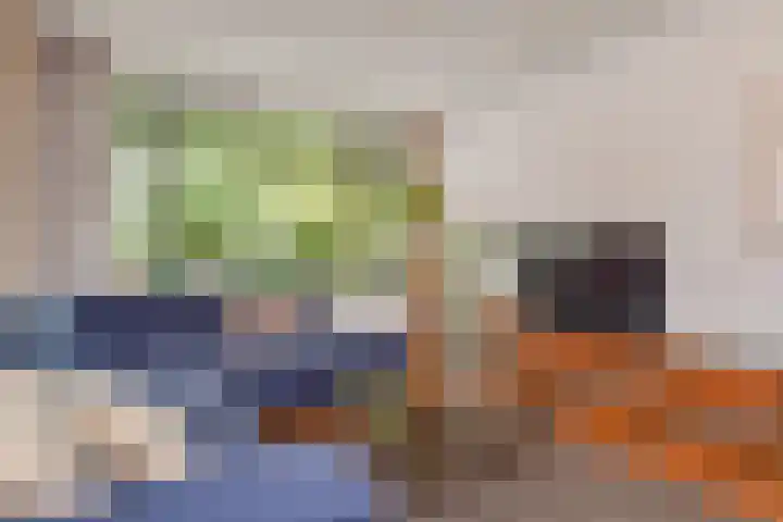 Sinjeur Semeynsweg 17 Den Haag thumbnail 8