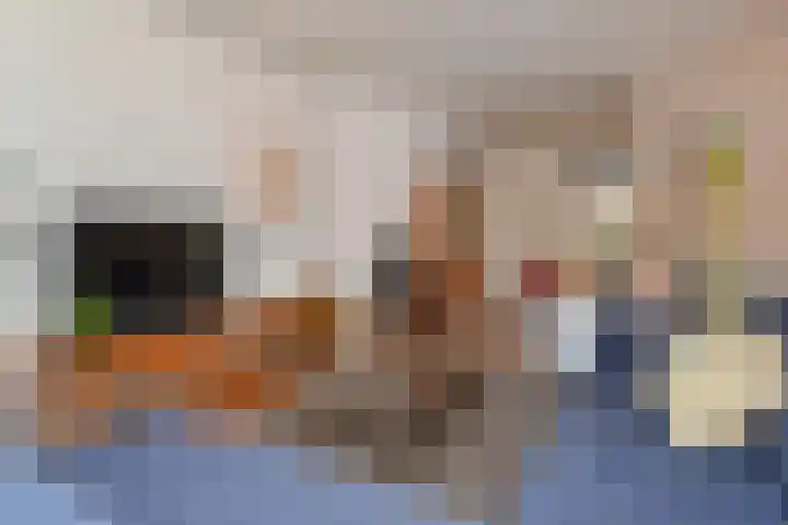 Sinjeur Semeynsweg 17 Den Haag thumbnail 9