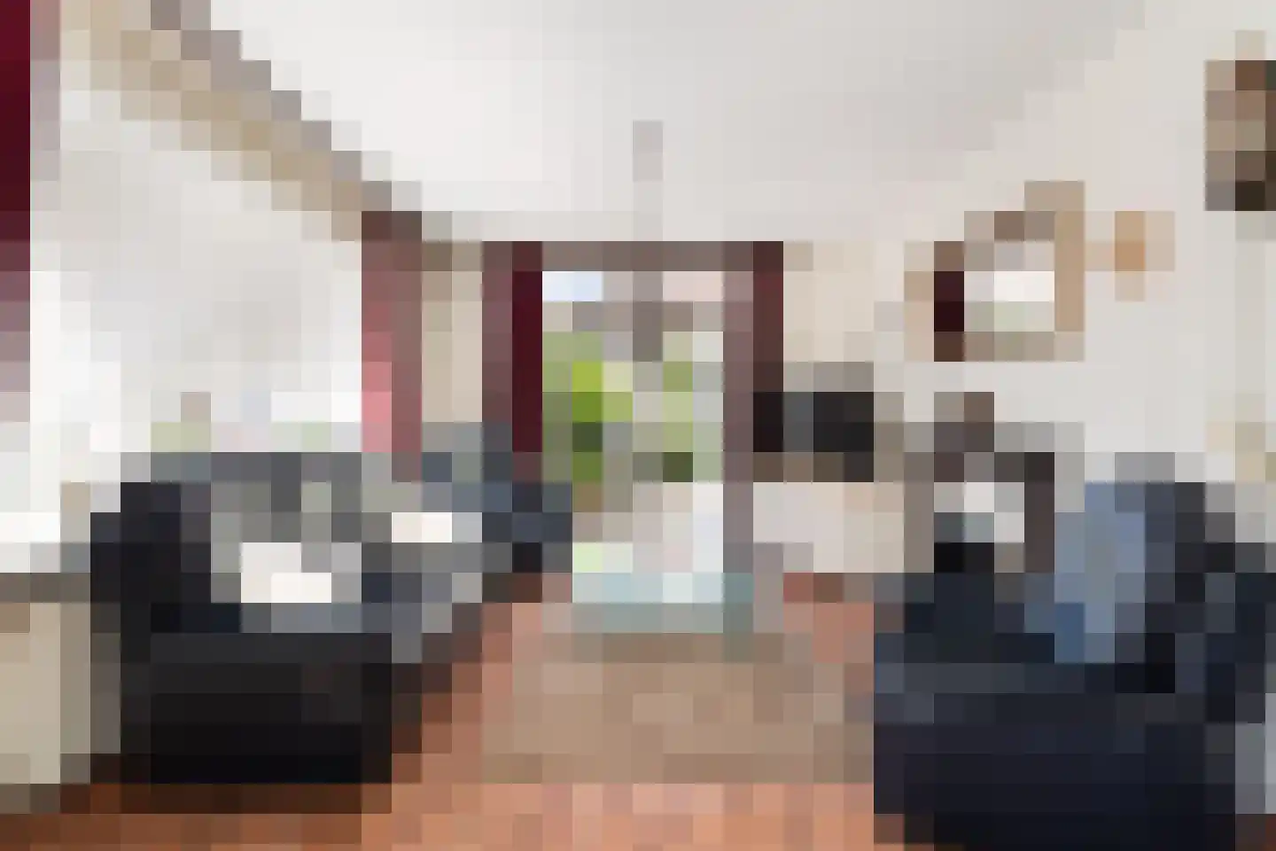 Sinjeur Semeynsweg 191 Den Haag thumbnail 12