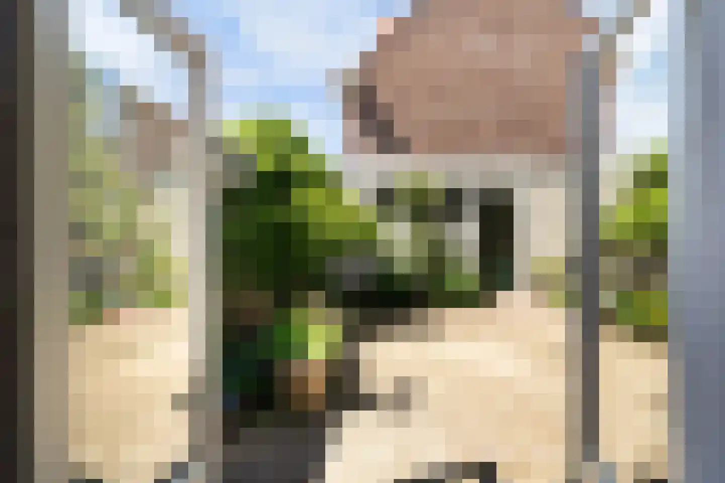 Sinjeur Semeynsweg 191 Den Haag thumbnail 18