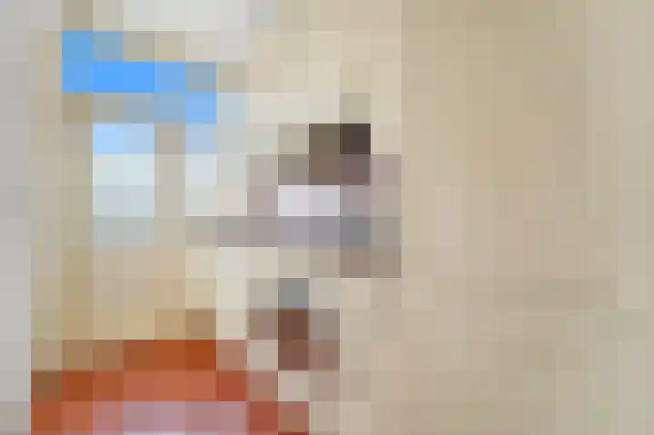 Sinjeur Semeynsweg 21 Den Haag thumbnail 18
