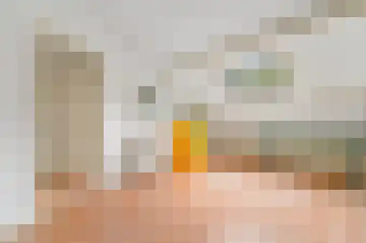 Sinjeur Semeynsweg 21 Den Haag thumbnail 33
