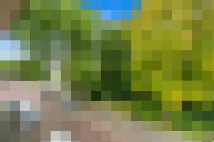 Sinjeur Semeynsweg 21 Den Haag thumbnail 4