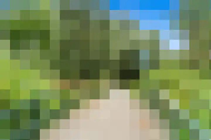 Sinjeur Semeynsweg 21 Den Haag thumbnail 42