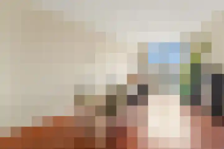 Sinjeur Semeynsweg 21 Den Haag thumbnail 7