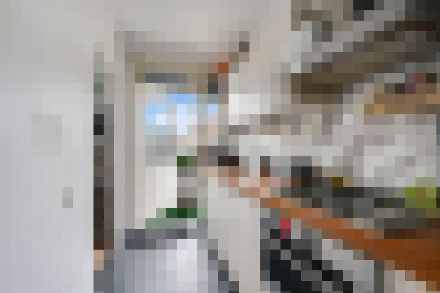 Sinjeur Semeynsweg 215 Den Haag thumbnail 12