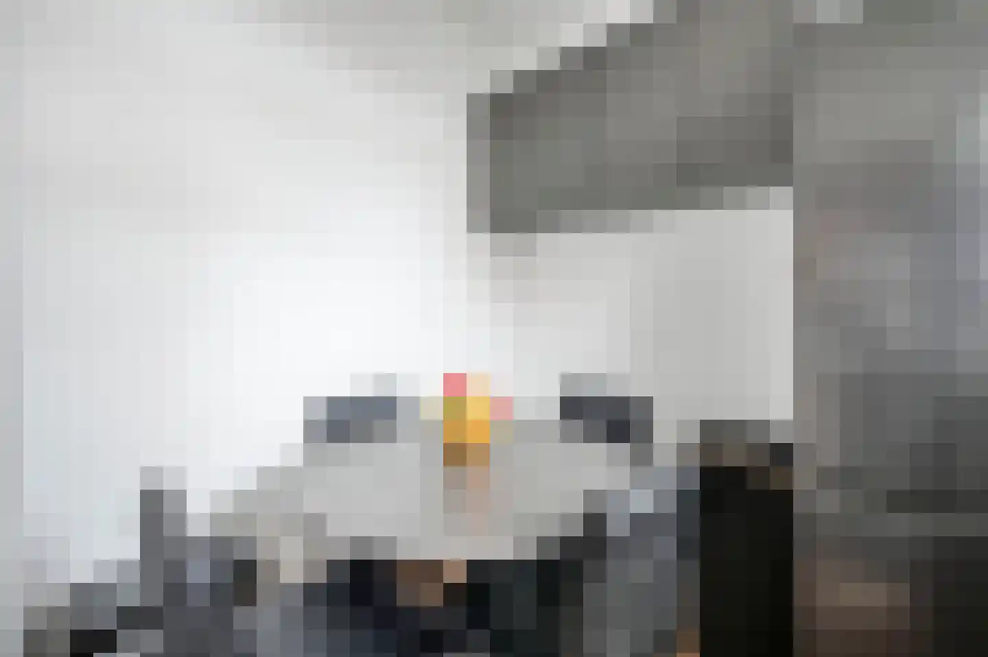 Sinjeur Semeynsweg 215 Den Haag thumbnail 15