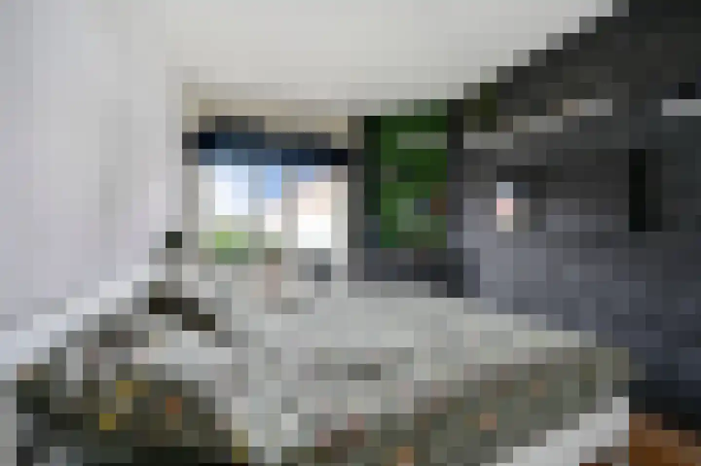 Sinjeur Semeynsweg 215 Den Haag thumbnail 16
