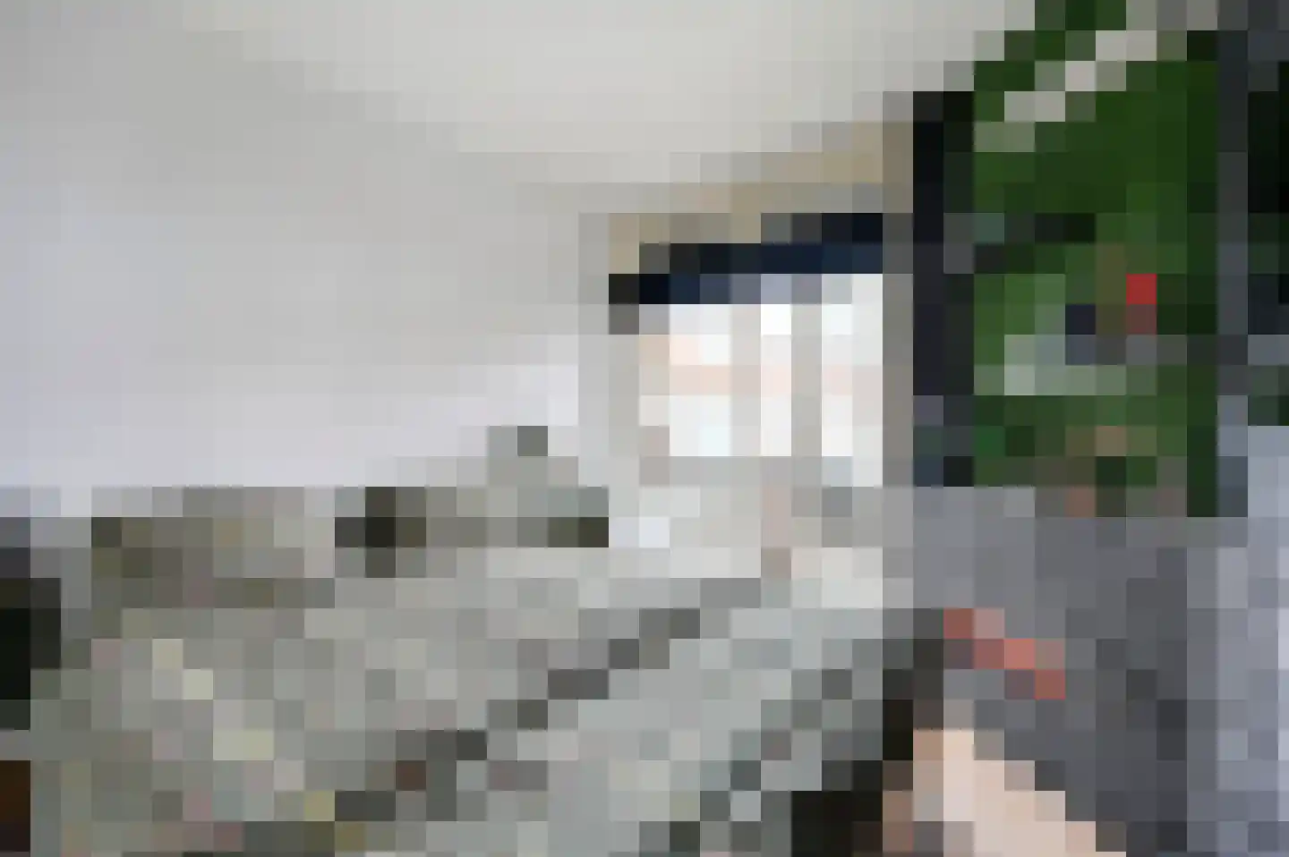 Sinjeur Semeynsweg 215 Den Haag thumbnail 17