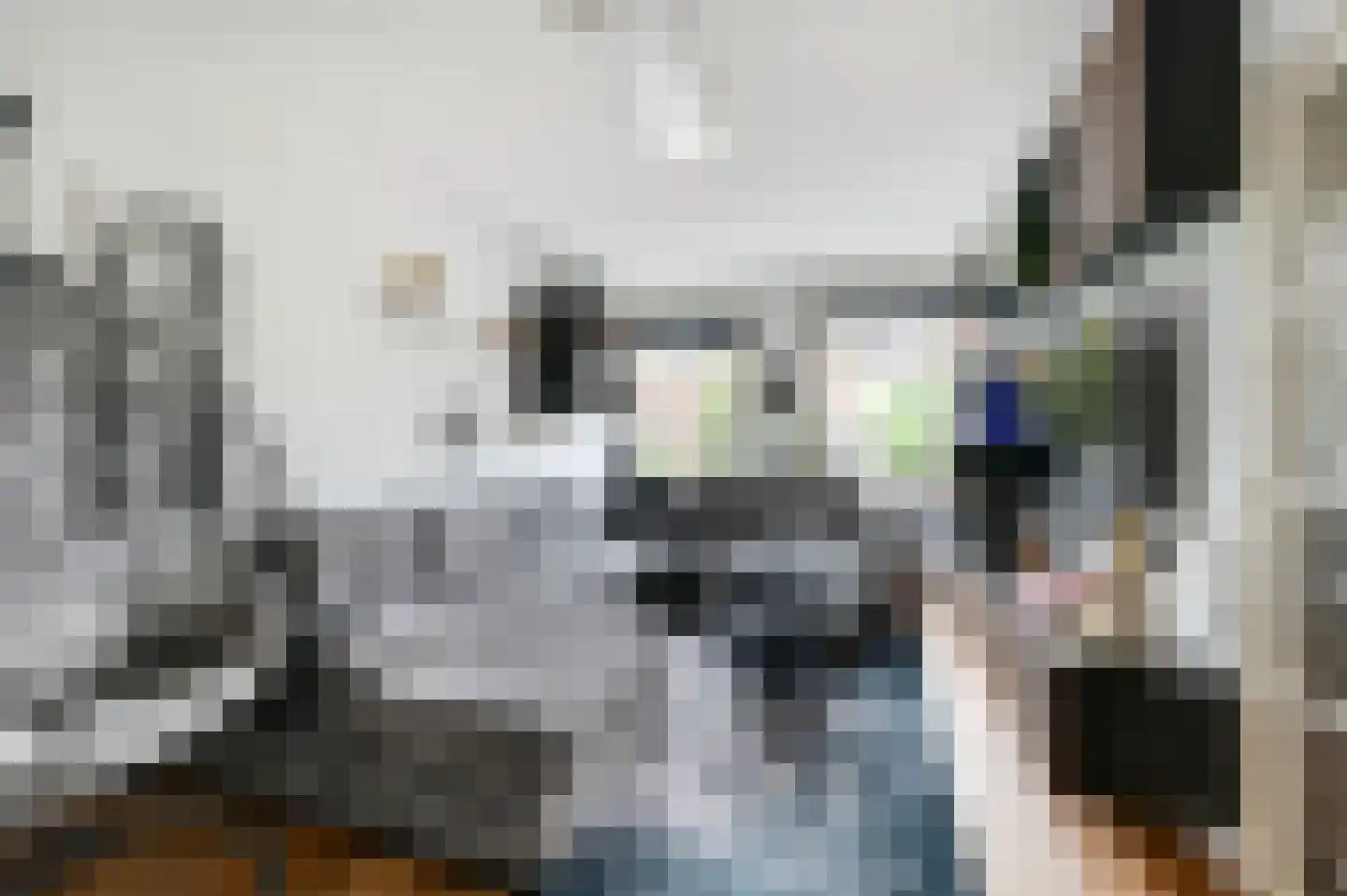 Sinjeur Semeynsweg 215 Den Haag thumbnail 8