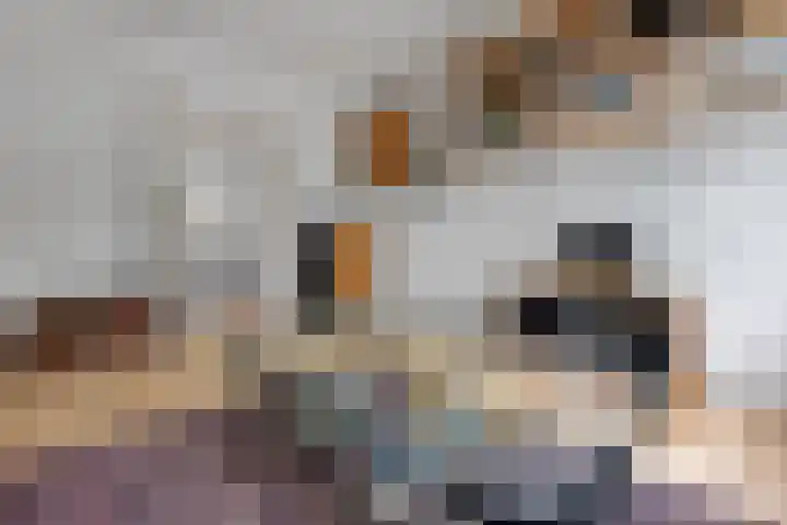 Sinjeur Semeynsweg 309 Den Haag thumbnail 7