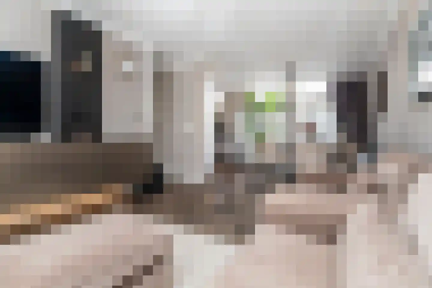 Sinjeur Semeynsweg 321 Den Haag thumbnail 10