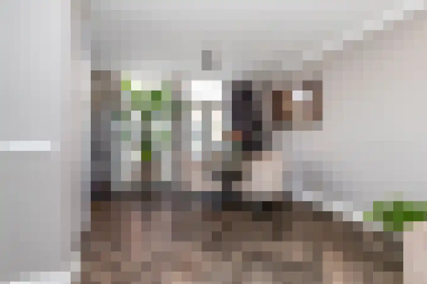 Sinjeur Semeynsweg 321 Den Haag thumbnail 11