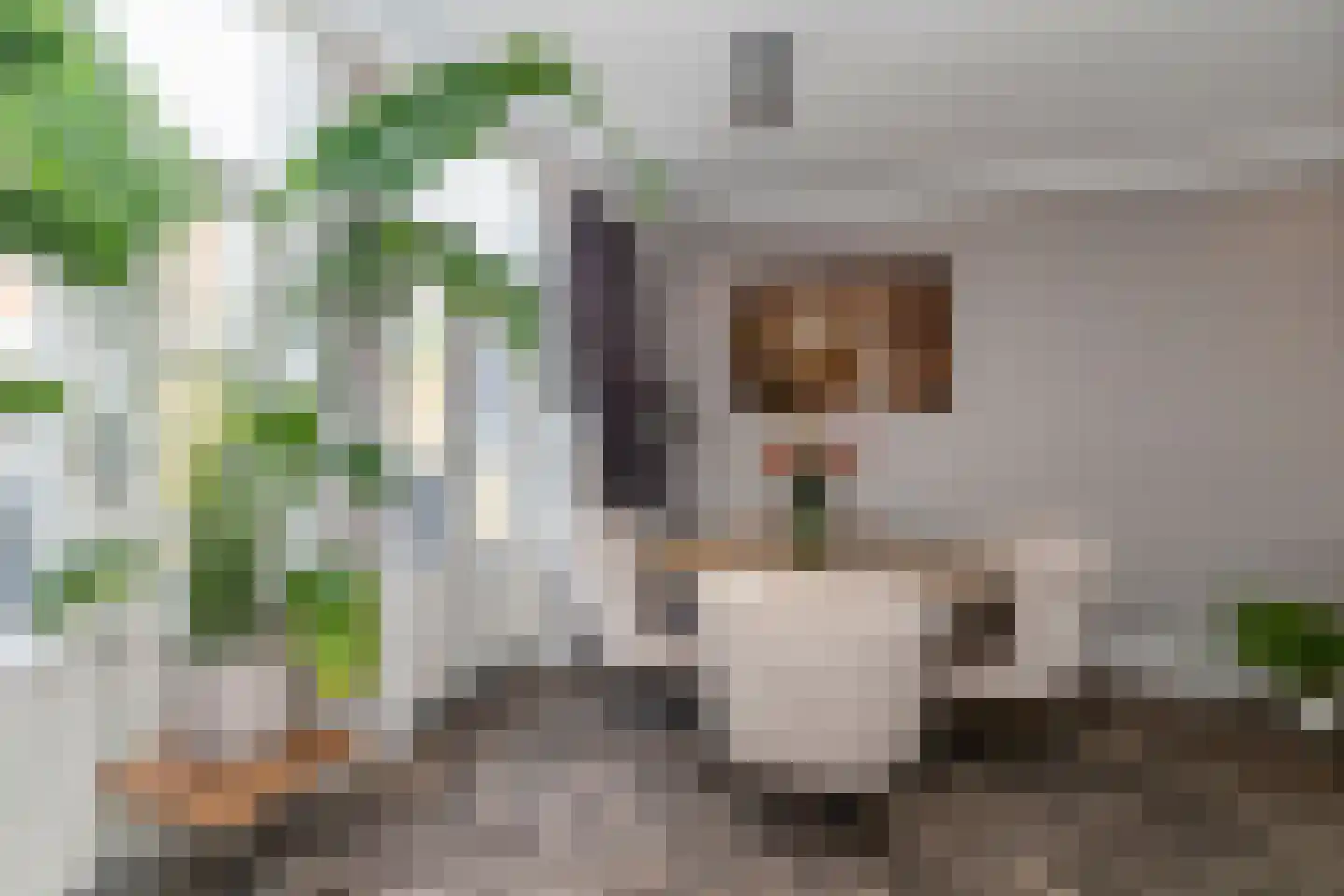 Sinjeur Semeynsweg 321 Den Haag thumbnail 12